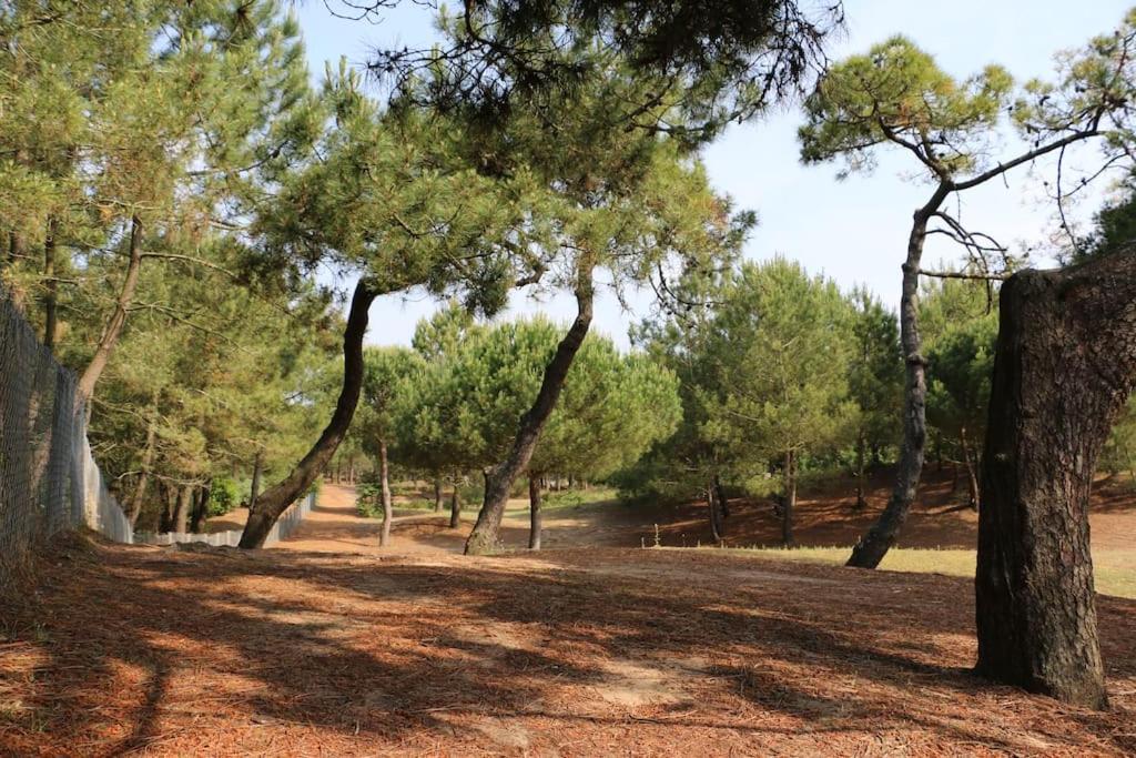 Vaimiti, Cabane Cosy Sous Les Pins Saint-Brévin-les-Pins Exterior foto